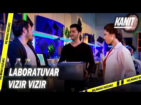 Küçük Peri'nin Bedeni Teşhis Edildi! - Kanıt 88.Bölüm