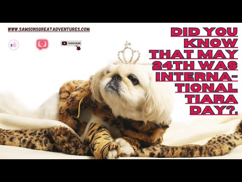 International Tiara Day | Dogs & Cats Wearing Tiara Video |  Funny Dog And Cat Compilation Video