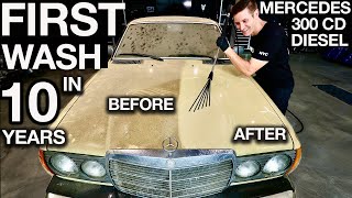 First Wash in 10 Years: 1978 Mercedes 300CD Diesel Disaster Detail and Sale!