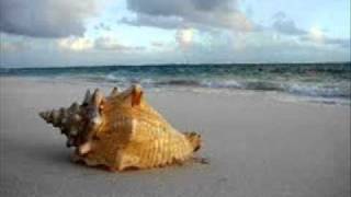 Aimee Mann-Build That Wall