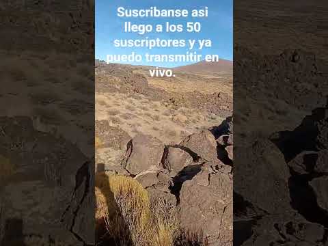 zainab en cutral co Neuquen