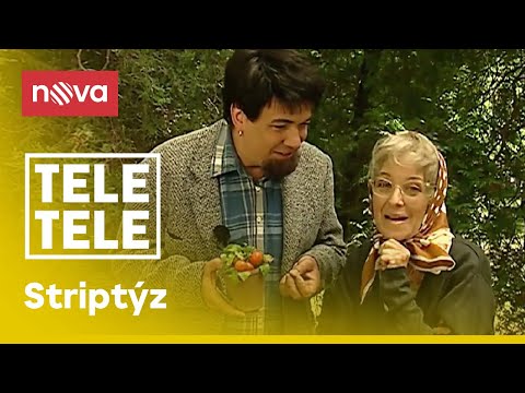 Proč se rajčata červenají? I Tele Tele I Voyo