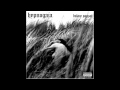Hypnogaja - They don`t care (dirty) + lyrics 