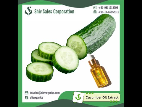 Cucumber Oil Extract