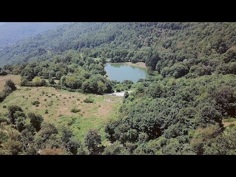 Escursione 4K - Anello del Passo della Collina - Pistoia - Trekking in Toscana