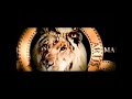Paramount 2021 MGM Skydance Productions And Hasbro Logos 2nd VHS Capture