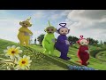 Teletubbies 602 Penguins Videos For Kids
