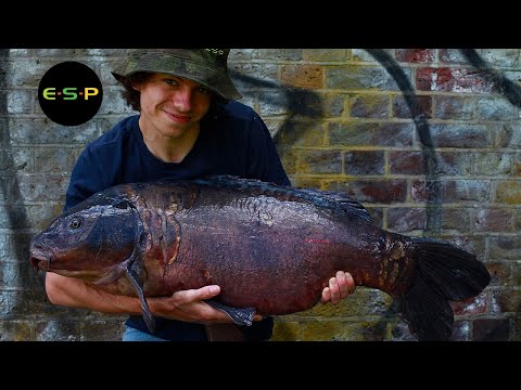 Alfie Russell | Life and Carp Fishing | Urban Carping