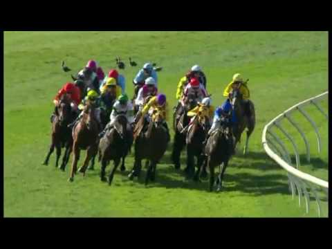 2016.11.19 W.A. Guineas (AUS) - Variation