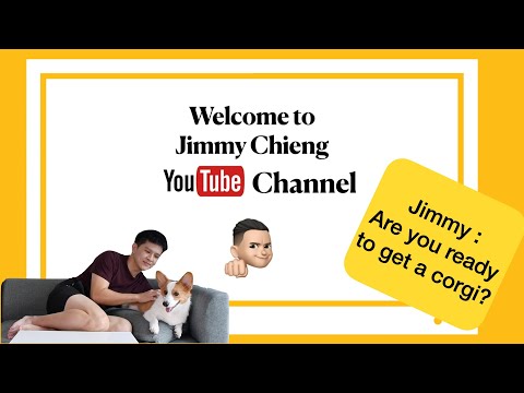 Few things I didn't know about my pet, Picasso the Corgi