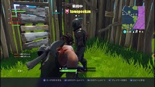 フォートナイトの可愛いラマチェスト