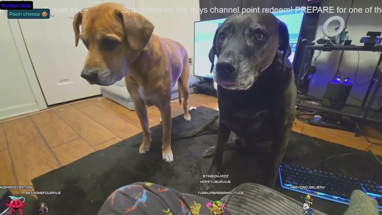youtube VOD