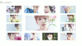 SEVENTEEN-웃음꽃(Smile Flower)日本語字幕