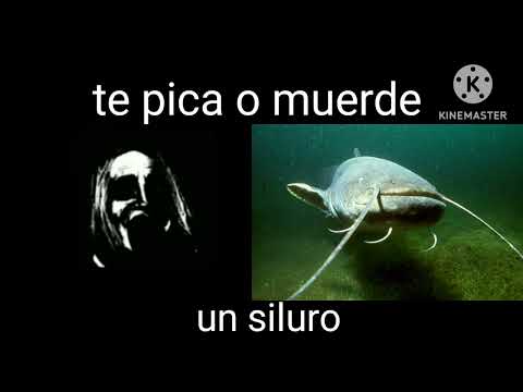 Mr increíble perturbado,te pica o muerde