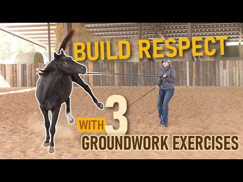 Colt Starting - Part 1 | Build RESPECT and set BOUNDARIES FAST