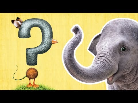 What Is It? | ANIMAL GUESSING GAME | Mother Goose Club Back to School