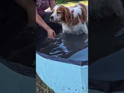 Video di HALO