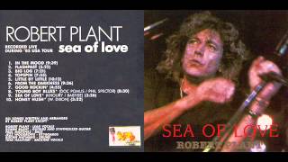 ROBERT PLANT - SEA OF LOVE LIVE 1985 USA TOUR FULL ALBUM