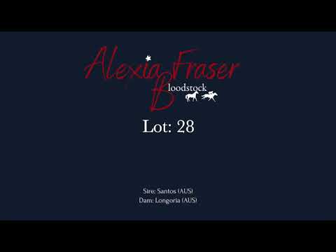 Lot 28- 2021 Gold Coast National Weanling Sale