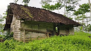 Download lagu The Life of the Javanese Tribe in Remote Villages in Central Java is Very Rare mp3 Download lagu The Life of the Javanese Tribe in Remote Villages in Central Java is Very Rare mp3