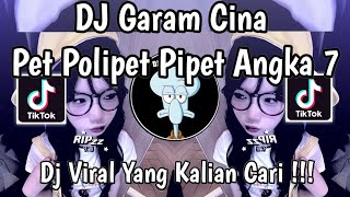 Download lagu DJ SALT CHINA REMIX | PET POLIPET PIPET NUMBER 7 VIRAL TIKTOK LATEST 2025 WHAT YOU'VE BEEN LOOKIN... mp3
