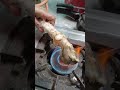 How To Clean Goat Legs Easy Way To Clean Wash Mutton Paya