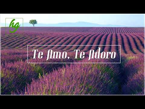 TE AMO, TE ADORO | Hnos. Medina ft. Joel Herrera | LLDM