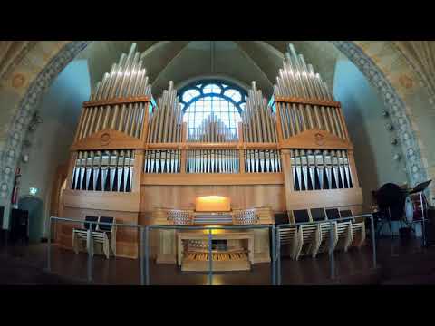 Marko Hakanpää - Fantasia "Kiitä Herraa, yö ja päivä" virrestä 461