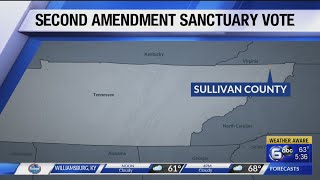 Sullivan County approves Second Amendment Sanctuary measure