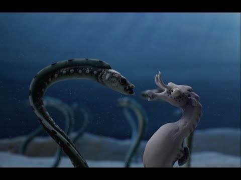 The Lost Seahorse - Indiegogo Campaign
