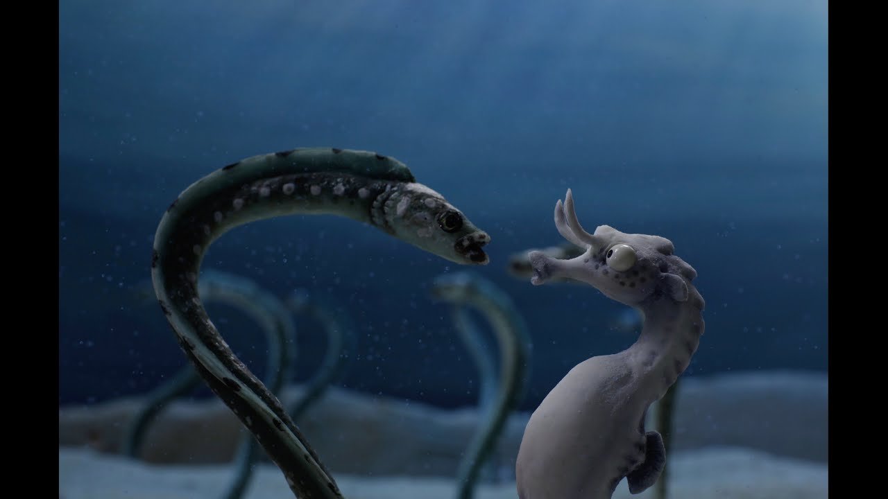 The Lost Seahorse - Indiegogo Campaign