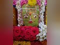 இருளர் பாடல்