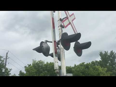 18 Cars!! Go 373 and 310 At The Newmarket Pedestrian Crossing
