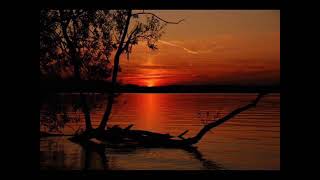 Download lagu Bunga Di Padang Pasir Sofea mp3