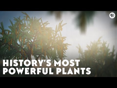 歴史上最も強力な植物 (History's Most Powerful Plants)