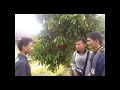 Xnxx Japan Kamvak032