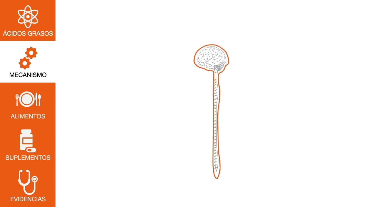 Nutrientes y EM - Ácidos grasos