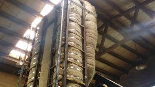 Our reactor in operation