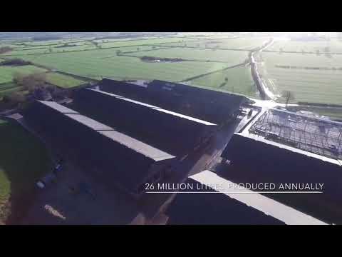 Aerial footage of Grosvenor Farms and the Cogent Bull Stud
