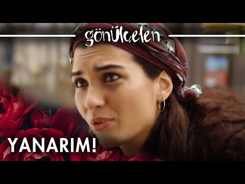 Hasret has returned to where she started