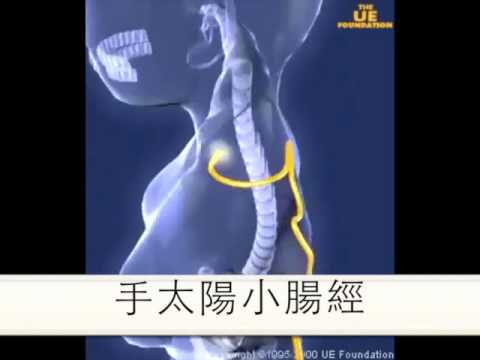 十穴