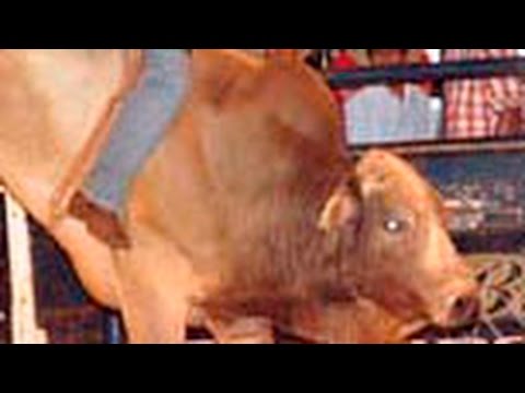 FEPEINA DOURADINA 2016 - ROUND 03 - Minuto do Rodeio 89