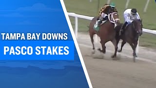 2025 $150,000 Pasco Stakes at Tampa Bay Downs