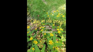 preview picture of video '[Tanachi's gala] Cabas-an Cold Springs, Iloilo'