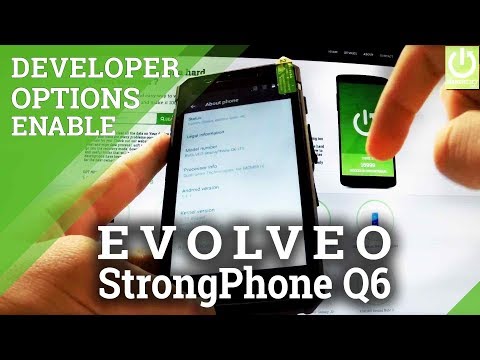 How to Enable Developer Options in EVOLVEO StrongPhone Q6 LTE
