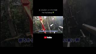 #オーストラリア #ゴールドコースト #夫婦