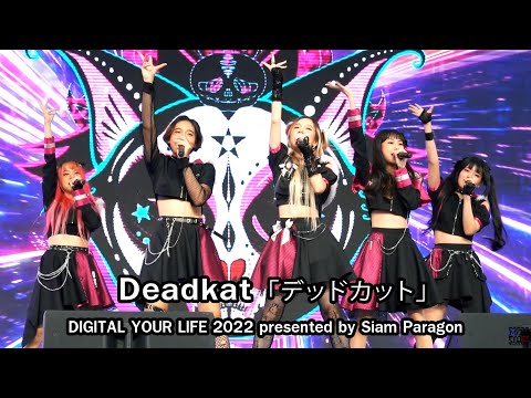 Deadkat「デッドカット」 IT'S NEVER TOO LATE & Fleeting Lights @DIGITAL YOUR LIFE 2022 Siam Paragon [4K60]