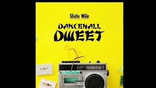 Shatta Wale - Dancehall Dweet (Audio Slide)