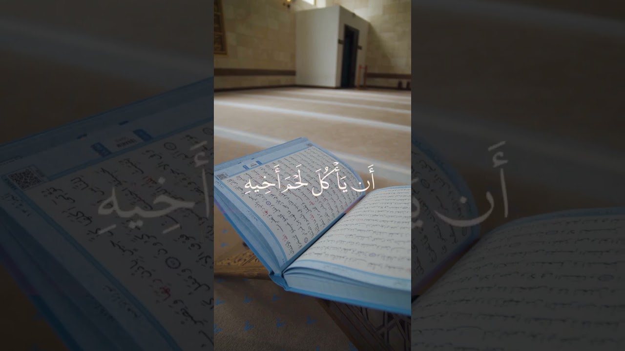 ي ا أ ي ه ا ال ذ ين آم ن