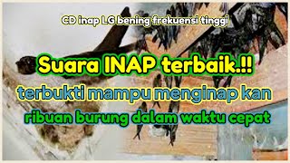 Download lagu SUARA INAP BERKUALITAS DAN TERBAIK MP3 | CD INAP LG BENING SOLUSINYA mp3